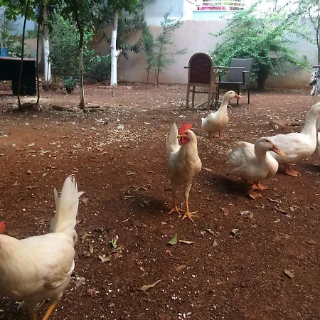 Hostel Uyar Palace Antalya