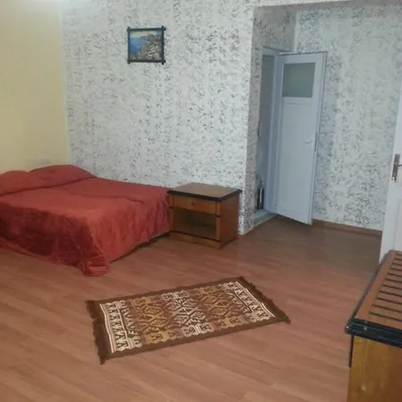 호스텔 Uyar Palace *