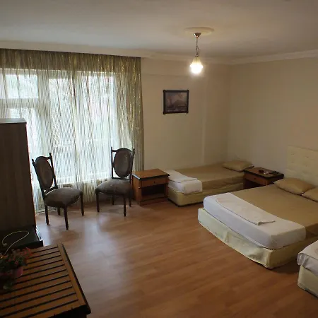 Uyar Palace Hostel *