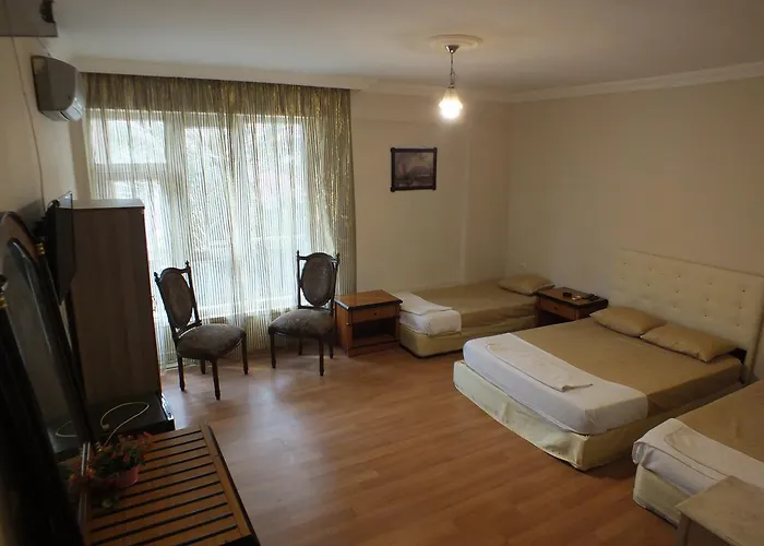 Uyar Palace Hostel *