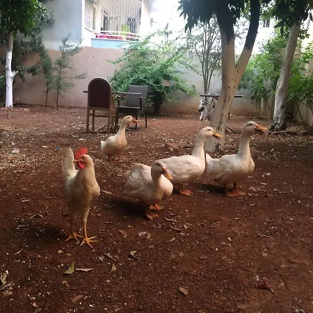 Hostal Uyar Palace *